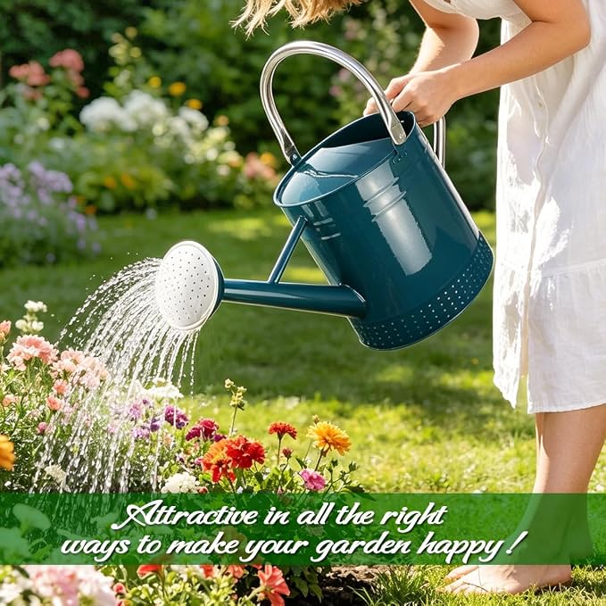 2 Gallon Meltal Garden Watering Can Removable Spout, Galvanized Steel Large Water Can with Embossed Design for Outdoor Indoor Plants (Ocean Blue, 2 Gallon)