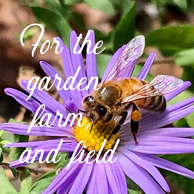 Mountain Valley Seed Co Wildflower Seed Bulk, 3 Oz. 80,000+ Seeds | 19 Non-GMO Flower Seeds for Shade, Annual & Perennial Wildflower Mix for Partial Shade—Shade Tolerant