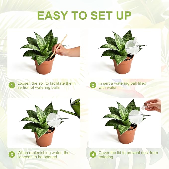 ZephyrBloom 19 Oz Large Plant Watering Globes & Self Watering Bulbs, Water Globes for Indoor Outdoor House Plants, Reliable Plant Water Feeders for Watering Plants While Away On Vacation 2‑Pack