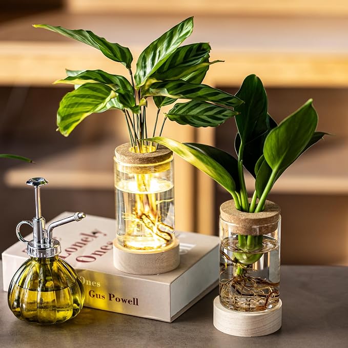 Glass Plant Propagation Stations, Propagation Vases for Plants with Ambient Light Base, Hydroponic Vase for Home & Office Windowsill Tabletop Decoration Desktop Vases for Living Room, Bedroom (6)