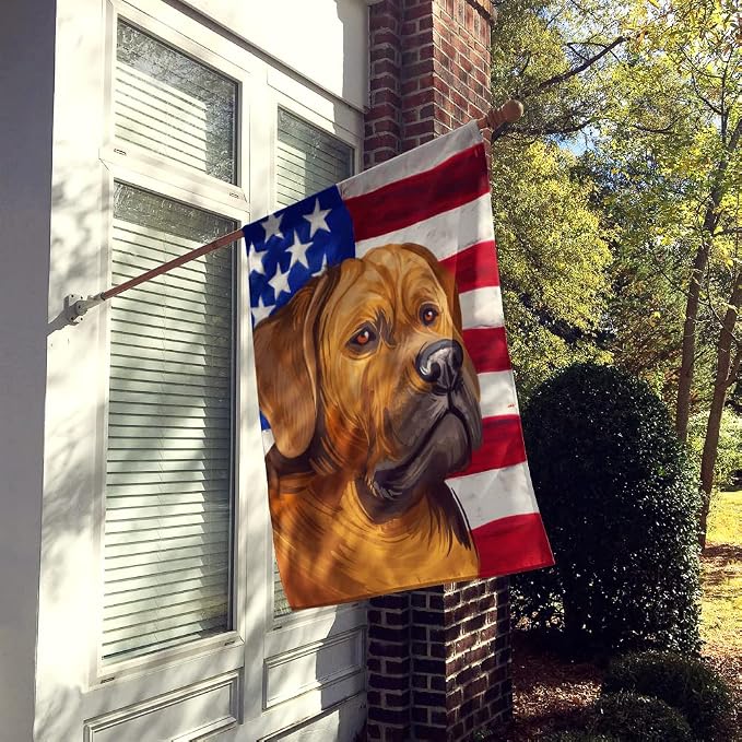 Caroline's Treasures CK6741CHF Tosa American Flag House Flag Large Porch Sleeve Pole Decorative Outside Yard Banner Artwork Wall Hanging, Polyester, House Size, Multicolor