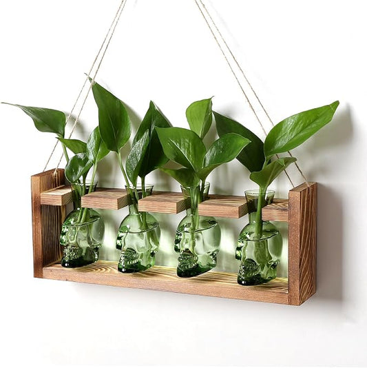 Plant Propagation Stations Halloween Skull Plant Terrarium Kit | Glass Vases Gift for Father Air Planter Home Office Decor