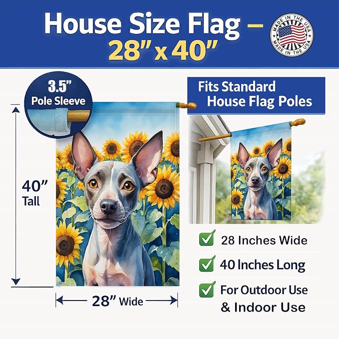 Caroline's Treasures DAC6010CHF American Hairless Terrier in Sunflowers House Flag Large Porch Sleeve Pole Decorative Outside Yard Banner Artwork Wall Hanging, Polyester, House Size, Multicolor
