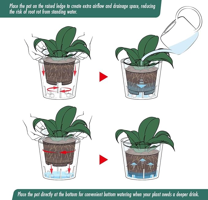 Phoenix Vine 3.5 Inch Olive Plastic Cachepot with Clear Nursery Pot, Decorative Lightweight Planter Cover with Transparent Inner Pot for Indoor Houseplants, Pack of 4, 24-A-F-4