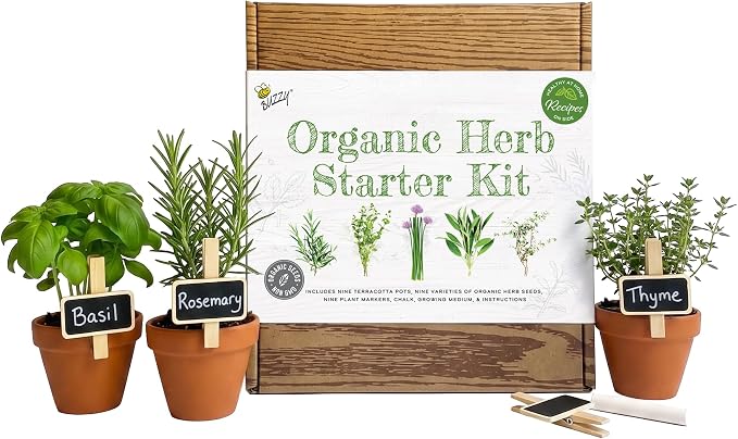 Buzzy Seeds Organic Herb Garden Kit 9-Pack - Mini Terracotta Pot Grow Set - Complete Indoor/Outdoor Gardening Kit with Seeds, Coconut Husk Growing Medium & Genuine Pots - 100% Grow Guarantee
