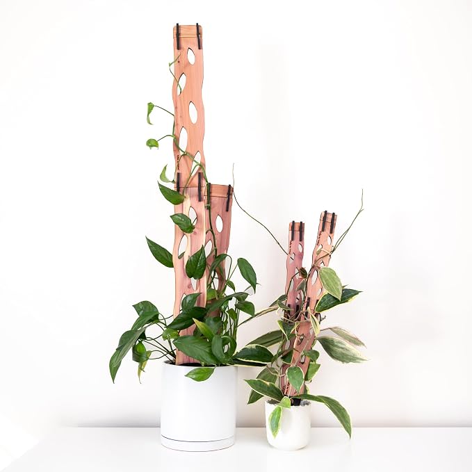 Treleaf Zella Grande Extension Kit - Wooden Extendable Plant Trellis (2 Extensions) for Indoor Climbing Houseplants - Modular Plant Support