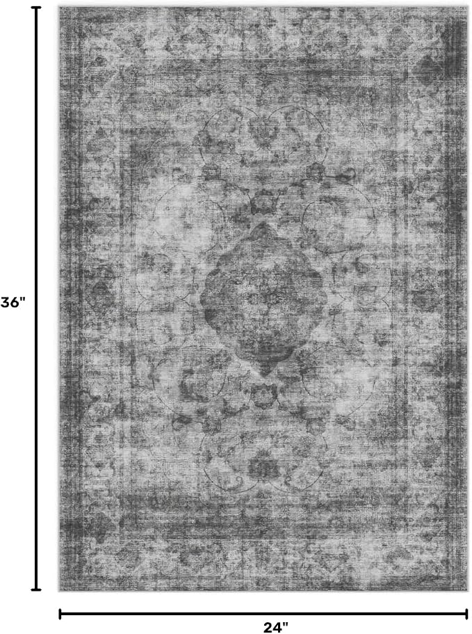 2x3 Area Rug Washable Vintage: Non Slip Throw Rugs for Entryway | Indoor Door Mat for Kitchen Soft Low Pile Thin Small Carpet for Hallway Bedroom Dining Room Home Office Decor
