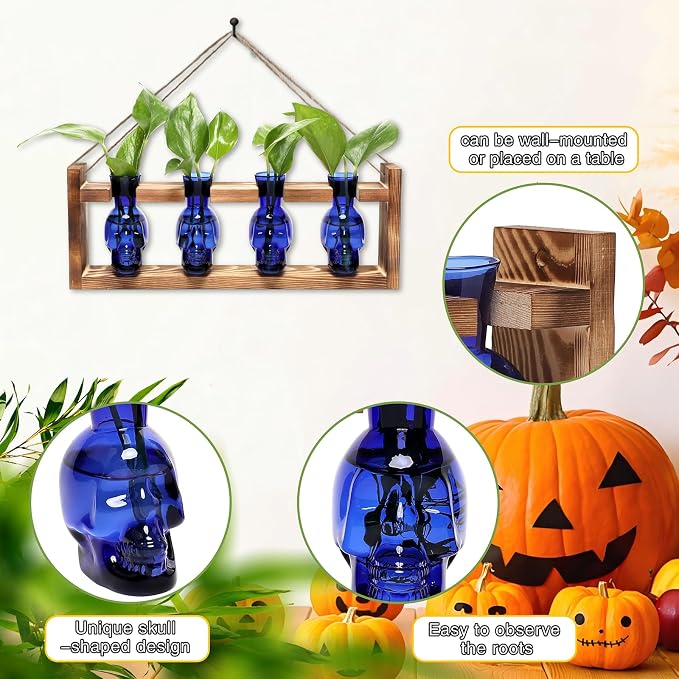 Plant Propagation Stations Halloween Skull Plant Terrarium Kit | Glass Vases Gift for Father Air Planter Home Office Decor