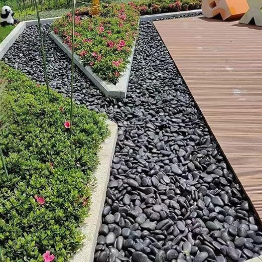 YISZM 10lbs Black Pebbles for Plants, 2-3 Inch High Polished Natural Large River Rocks for Landscaping, Decorative Stones Vase Filler Fish Tank Aquariums Garden Outdoor and Indoor DIY