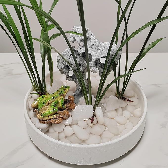 FANTIAN 10 lbs White Rocks for Landscaping, 1-2 Inch Small Pebbles for Indoor Plants, Decorative Polished River Stones for Potted, Vase and Outdoor Garden