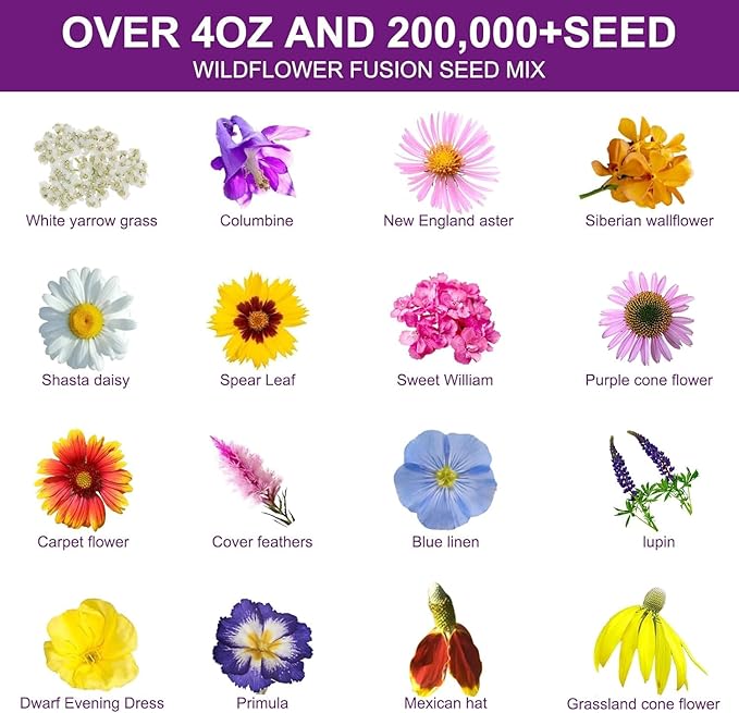 200,000+ Wildflower Seeds [4oz] 16 Variety Perennial Mix - Heirloom Seeds for Pollinator Gardens | Attracts Bees/Birds/Butterflies | High Germination Rate for Indoor & Outdoor