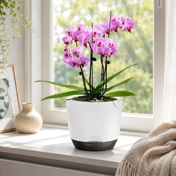 7.2Inch White Orchid Pots with Holes for Repotting, Double-Layer Plastic Self Watering Flower Pots for Indoor Plants with Drainage Holes, Clear Orchid Pot Match Decorative Orchid Container, 5 Packs
