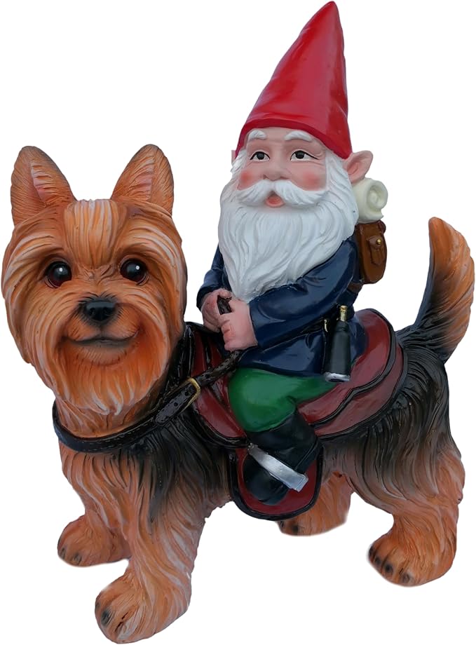 Funny Guy Mugs Gnome Riding A Yorkshire Terrior Statue - Indoor or Outdoor Garden Gnome Sculpture for Patio, Yard or Lawn - Yorkie Statue