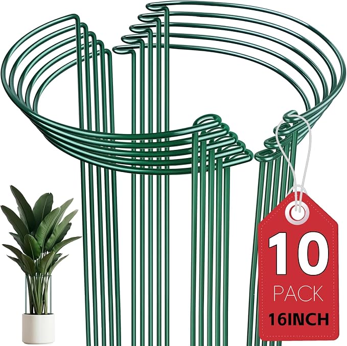 Thealyn 10 Pack Plant Support Stakes, 10" W x 16" H Metal Peony Cages and Supports, Rustproof Half Round Garden Plant Stakes for Indoor Outdoor Plants, Hydrangea, Rose, Tomato, Monstera