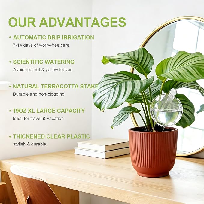 ZephyrBloom 19 Oz Large Plant Watering Globes & Self Watering Bulbs, Water Globes for Indoor Outdoor House Plants, Reliable Plant Water Feeders for Watering Plants While Away On Vacation 2‑Pack