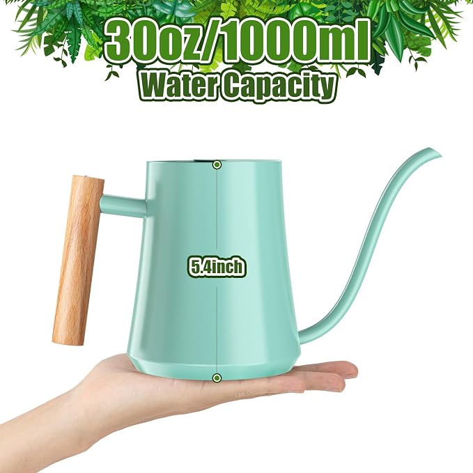 Green Moon 1L/35oz Metal Watering Can Indoor with Long Spout, Mint Green | Metal Stainless Steel Watering Can with Wood Handle for Indoor Plants, House Bonsai, Succulents, and Outdoor Garden Flowers