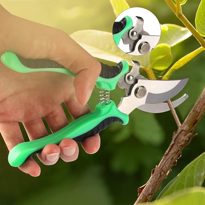 Bonsai Tree Kit, 20 Pcs Gardening Succulent Tools Set, Bonsai Tool Kit Include 262 Feet Bonsai Wire, 29.5"x29.5" Plant Repotting Mat, Bonsai Scissors, Pruning Shears, Unique Gift for Indoor Gardening | Include 262 Feet Bonsai Wire, 29.5"x29.5" Plant Re...