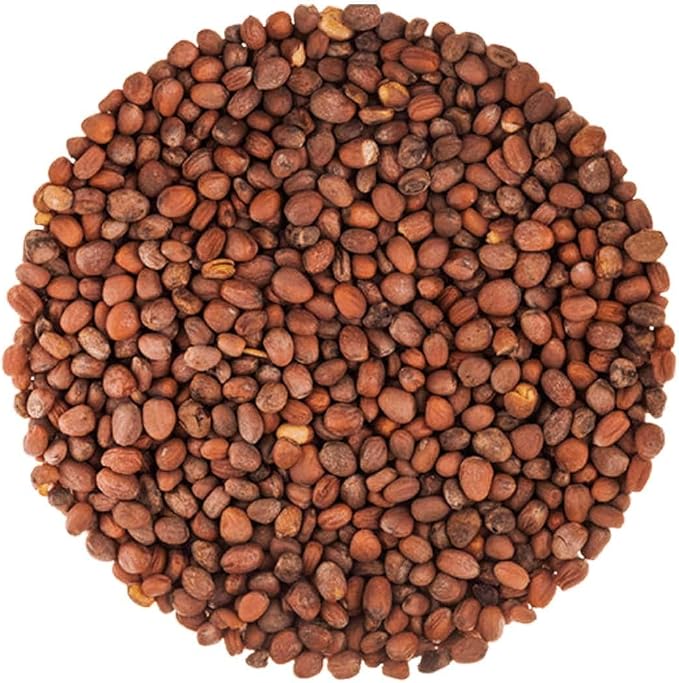 Food to Live Organic Radish Seeds for Sprouting, 10 Pounds - Non-GMO, Edible Seeds, Vegan, Kosher, Bulk. Spicy Flavor. Rich in Vitamin C. High Germitation Rate. Grow Sprouts, Microgreens for Rolls.