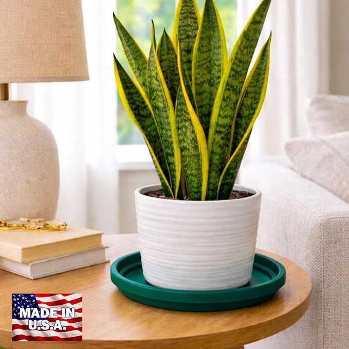 10 Inch Plant Pot Tray USA Made – Durable Plastic Flower Pot Saucer – Plant Water Catcher for Indoor Outdoor Garden (12, Mineral Teal)