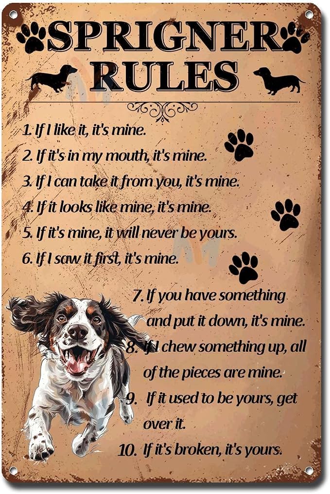 Metal Sign Tin Sign Vintage Wall Art Springer Rules Bar Signs for Home Decor for Home Decor 6×8 Inches