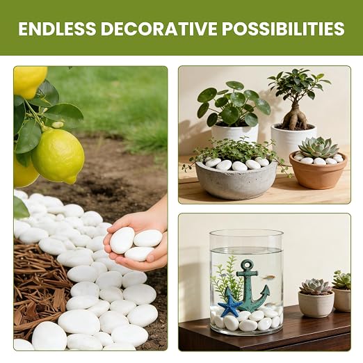1-2 Inch White River Rocks, 18LB Polished Natural Decorative Pebbles for Indoor Plants, Planters, Vase Fillers, Fish Tank Rocks, Aquarium Decor, Garden Landscaping & Outdoor DIY