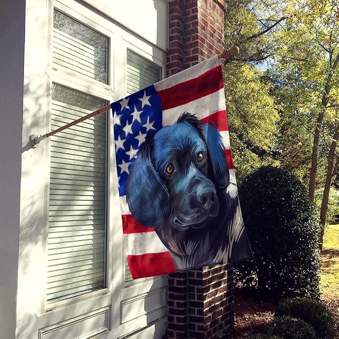 Caroline's Treasures CK6723CHF Stabyhoun Dog American Flag House Flag Large Porch Sleeve Pole Decorative Outside Yard Banner Artwork Wall Hanging, Polyester, House Size, Multicolor