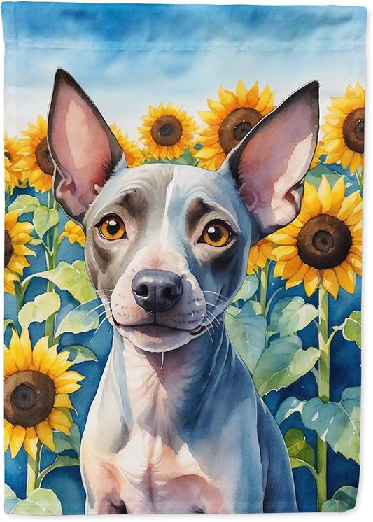 Caroline's Treasures DAC6010CHF American Hairless Terrier in Sunflowers House Flag Large Porch Sleeve Pole Decorative Outside Yard Banner Artwork Wall Hanging, Polyester, House Size, Multicolor