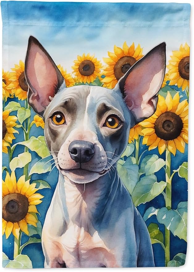 Caroline's Treasures DAC6010GF American Hairless Terrier in Sunflowers Garden Flag Mailbox Flag Decorative Yard Flag Banner Outside Patio Artwork Yard Flower Beds, Garden Size, Multicolor