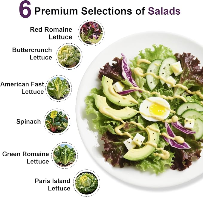 Salad Greens Seed Pod Kit for AeroGarden, idoo with Red and Green Leaf, Romaine and American Fast/Buttercrunch/Paris Island Lettuce, Spinach - Hydroponics Supplies for Most Brand (12-pod)