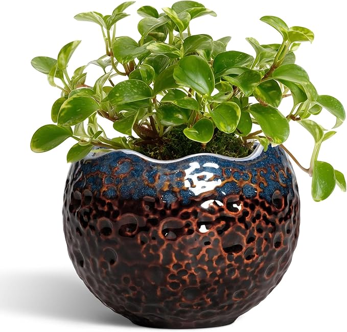 Ceramic Plant Pots - 4 Inch Pots for Plants with Drainage and Plug, Small Planters for Indoor Plants Outdoor, Modern Planter, Small Flower Pot, Room Decor, Plant Lovers Gifts, Brown-Blue