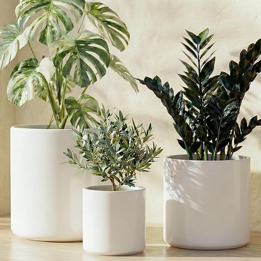 LE TAUCI 10+8+6 Inch Ceramic Pots for Plants, Indoor Planters with Drainage Hole and Plug, Modern Cylinder Flower Pots Set of 3 for Living Room and Bedroom, Satin, White