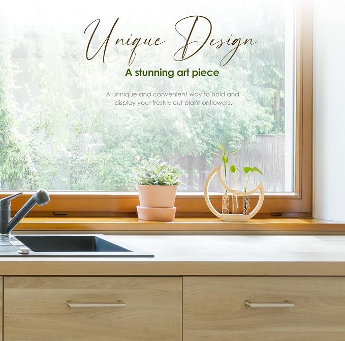 Plant Propagation stations, Crescent Moon Table Terrarium Stand for Indoor houseplants, Wooden Wall Boho Hanging Planter Vase with Glass Test Tube for Office Decor Aesthetic, Gift for Women Mom