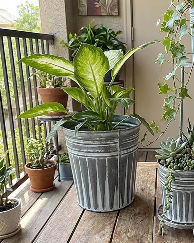 vensovo 7 Inch Galvanized Bucket Planter - 6 Pack Metal Flower Pots with Drainage Holes & Plugs, Rustic Silver Tin Pots for Indoor Herbs, Outdoor Succulents, Farmhouse Home Garden Decor