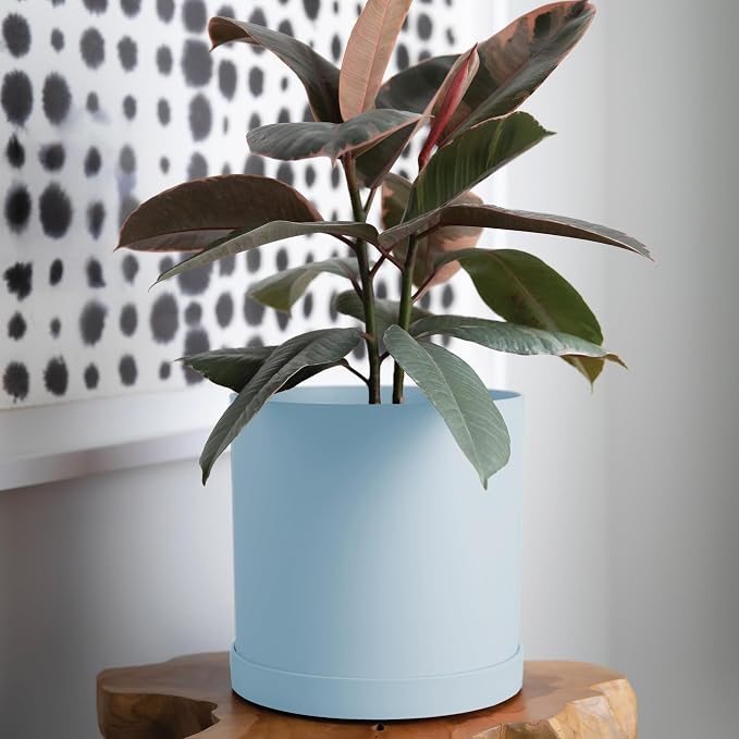 Bloem Mathers Planter w/Saucer Tray 10" Misty Blue