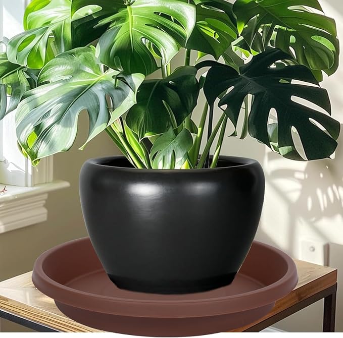 NIMYAU Thick Plastic Plant Saucer 12 Inch Round Pack of 5 Reusable Drip Trays for Indoor Outdoor Plants