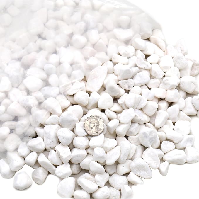 Rocks for Plants. White Decorative Pebbles. 0.5 to 1 Inch 18 lbs. for Garden, Landscaping, Indoor, Vase fillers, Crafting, Succulents, pots, Plants