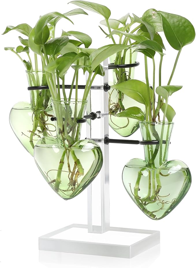 Plants Propagation Stations Plant Terrarium Kit Gift for Women | Birthday Glass Planters For Indoor Plants Home Office Decor Acrylic Plant Accessories - 4 Love Hear Vase