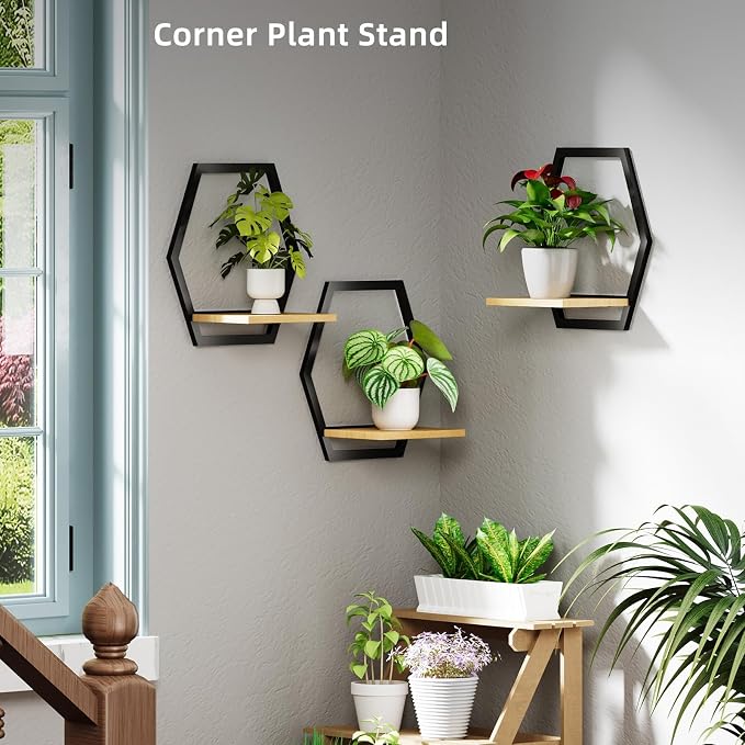 3 Pack Solid Wood & Metal Framework Wall Plant Stands,9 inch Natural Wood Shelf of Indoor,Mid Century Modern Hanging Planter for Outdoor Entryway 25 LB Load for Plants Black