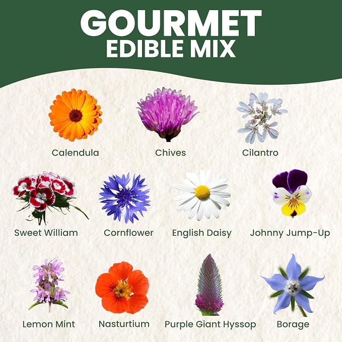 Gourmet Edible Mix – 1,000 Premium Seeds for Planting – Fresh Culinary Flowers & Herbs – 2026 Season – 5 Gram Pouch