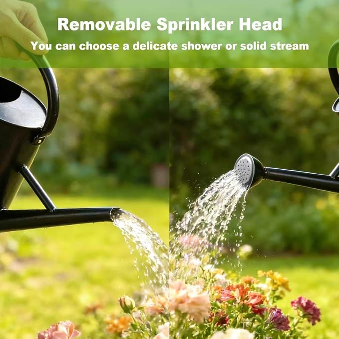 Watering Can for Outdoor&Indoor Plants，1.5 Gallon（5.7L） Metal Watering Can with with Removable Spout，Large Galvanized Steel Garden Flower Water Can Watering Pot with 2 Handles ，Black