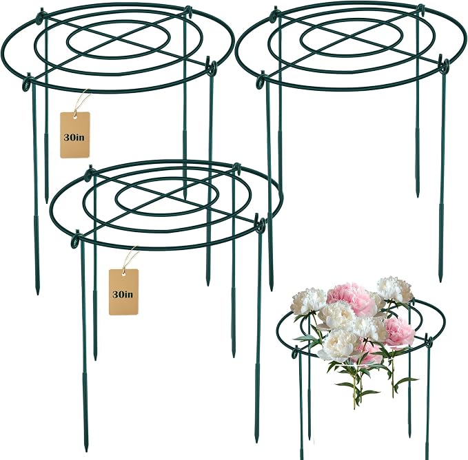 3Set Large Peony Grid Cages, 30"H X 24"D Metal Flower Support Cages Grow Through Hoop Ring Peony Stakes Garden Plant Support Rings Heavy Duty Plant Braces Peonies Structure for Outdoor Plants Blossoms
