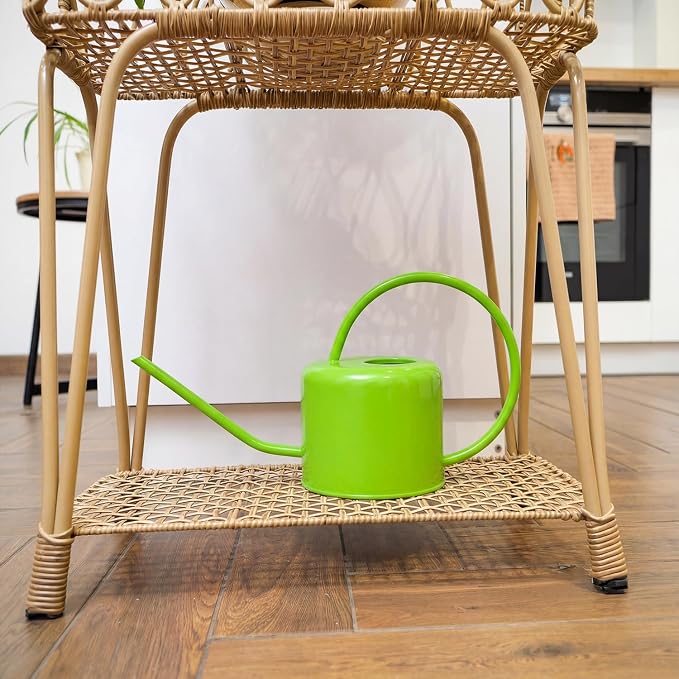 Plexon Long Spout Watering Can Indoor Plants, 40 oz Small Watering Can Pot Metal for Garden Flowers House Plants Mini, Powder Coated,Gift for Mom Girlfriend Daughter, Green