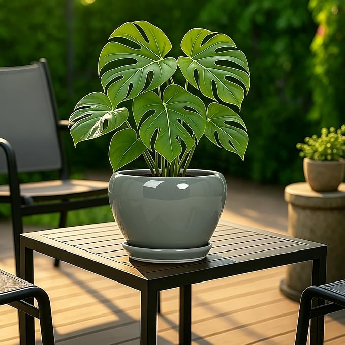Deep Dream 8 Inch Plant Pots- Ceramic Pots for Plants with Drainage Hole and Saucer, Large Planter Pot for Indoor Plants Outdoor Decor, Grey