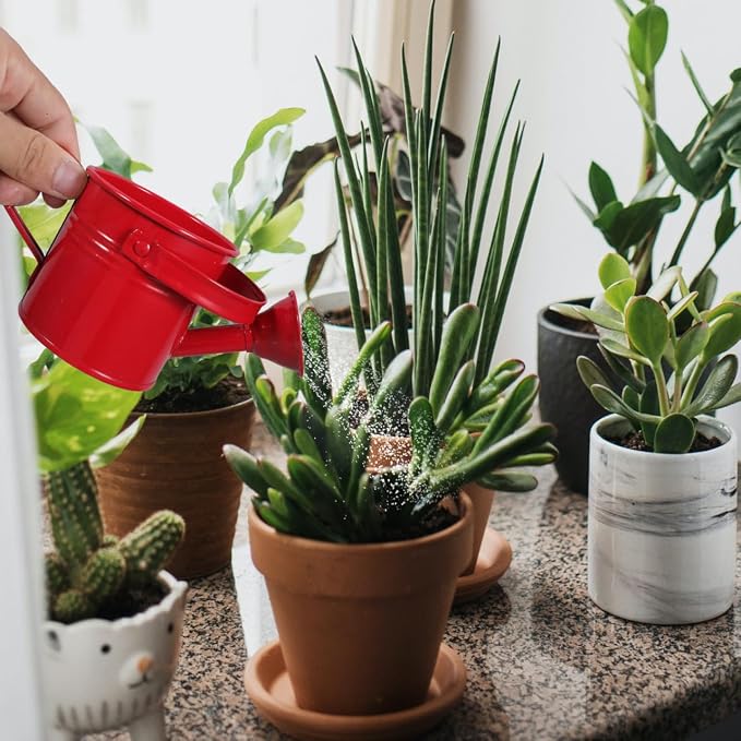 Toddmomy 2pcs Watering Can for Kids - Small Metal Watering Can Plant Watering Can for Boys and Girls Garden Yarde Home Use, 15X7.5CM, Red