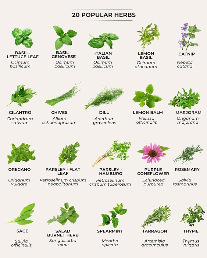 Tactiko Survival 60 Medicinal & Survival Seed Kit – Heirloom Non-GMO USA Grown Seeds for Vegetables, Herbs & Edible Flowers – Emergency Food Supply Vault - Mylar Storage - Tools - Planting Guide