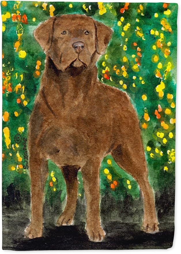 Caroline's Treasures SS8969GF Chesapeake Bay Retriever Garden Flag Mailbox Flag Decorative Yard Flag Banner Outside Patio Artwork Yard Flower Beds, Garden Size, Multicolor