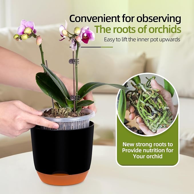 QCQHDU 5.7Inch Orchid Pots with Holes for Repotting, Double-Layer Plastic Self Watering Flower Pots for Indoor Plants with Drainage Holes, Clear Orchid Pot Match Decorative Orchid Container, 5 Packs
