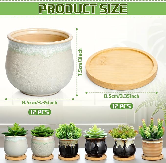 Remerry 6 Pcs Small Succulent Pots Bulk with Drainage Assorted 3.5 Inch Mini Ceramic Succulent Planters Pot with Coaster Bamboo Plant Tray Planting Pots for Home Office Garden