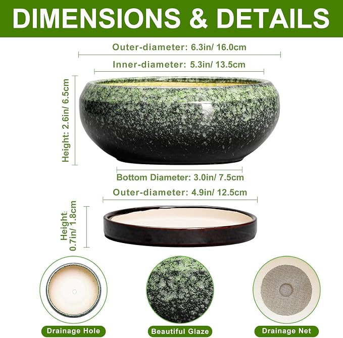 Succulent Pots 6 Inch - Ceramic Bonsai Pots with Drainage Hole and Saucer, Succulent Planters for Indoor Outdoor, Small Shallow Planter, Round Cactus Pot, Room Decor, Plant Lover Gift, Green