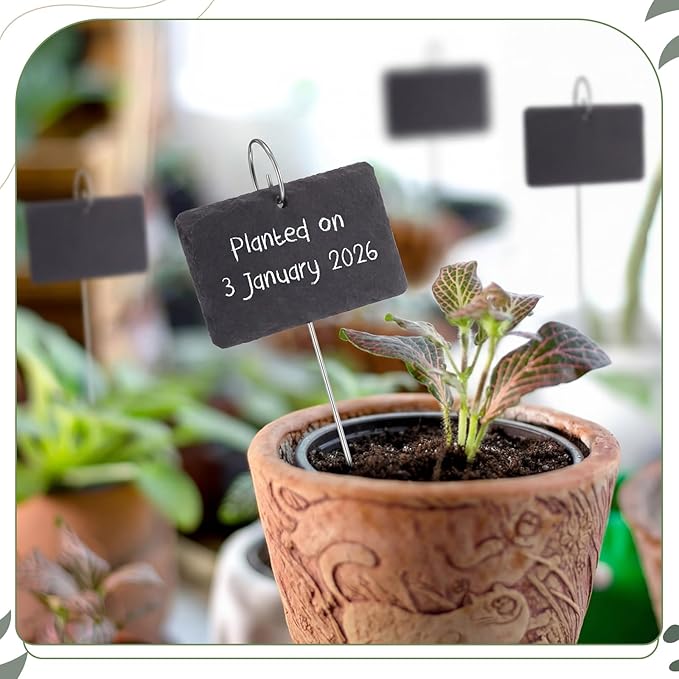 Hotop 60 Pcs Silver Plant Label Hooks, 20cm Garden Label Markers Hanger Rustproof Deformed Plant Sign Stake Metal Garden Sign Hanging Rods for Flower Planter Container Accessories